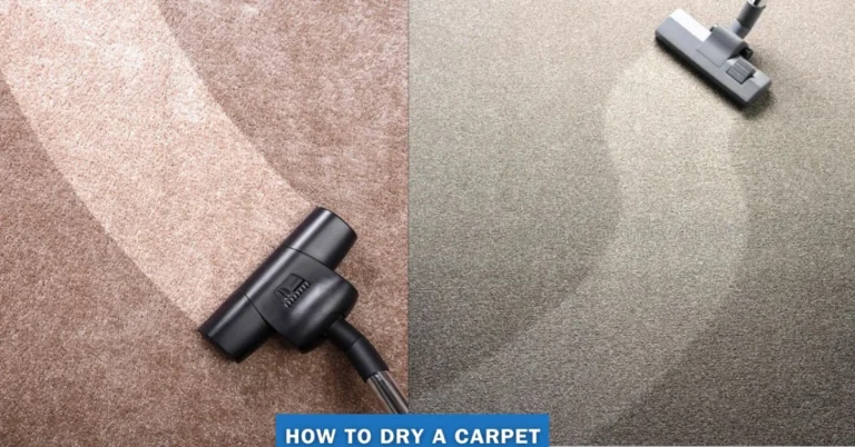 How To Dry A Carpet