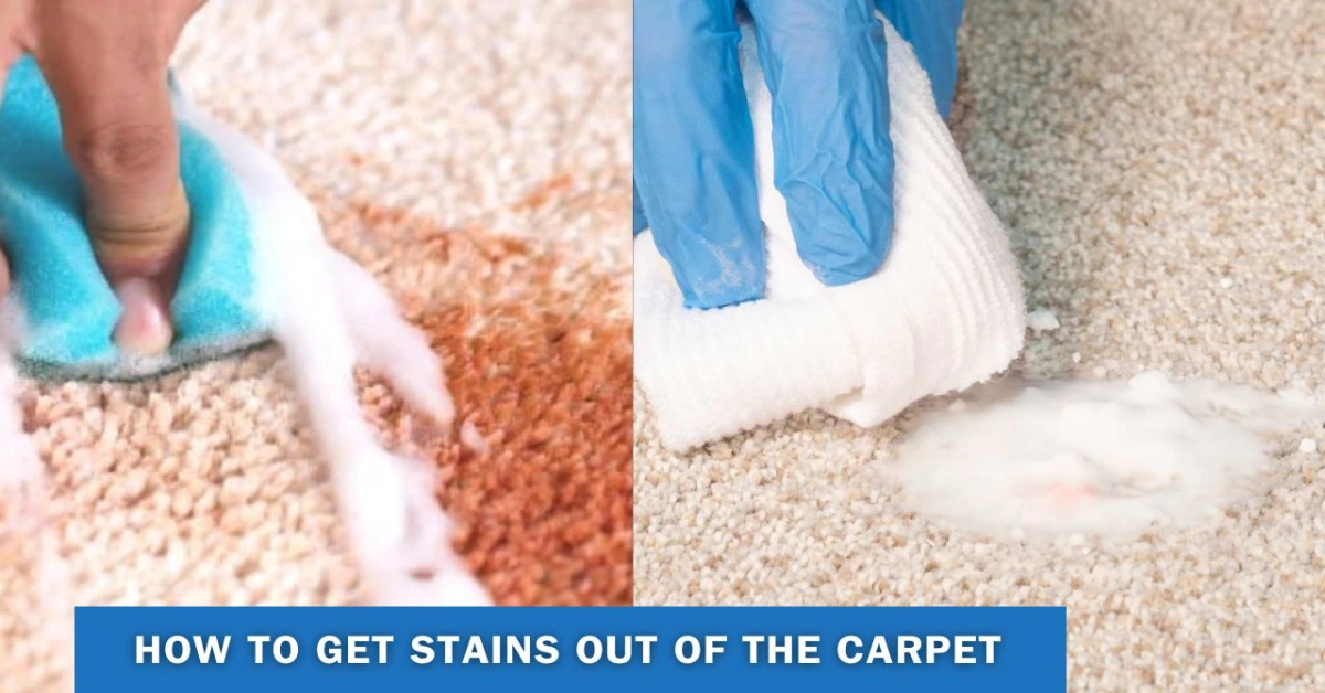 How To Get Stains Out Of The Carpet