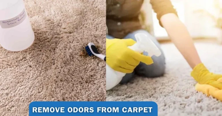 Remove Odors From Carpet