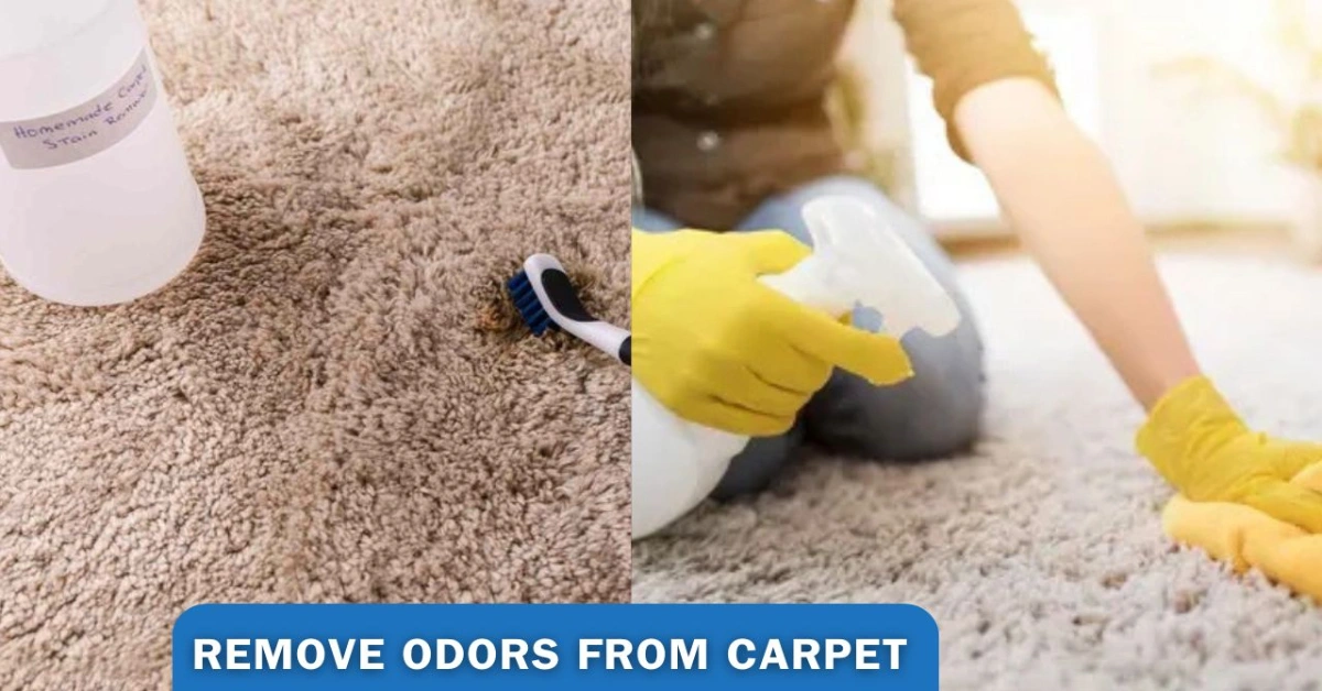 Remove Odors From Carpet
