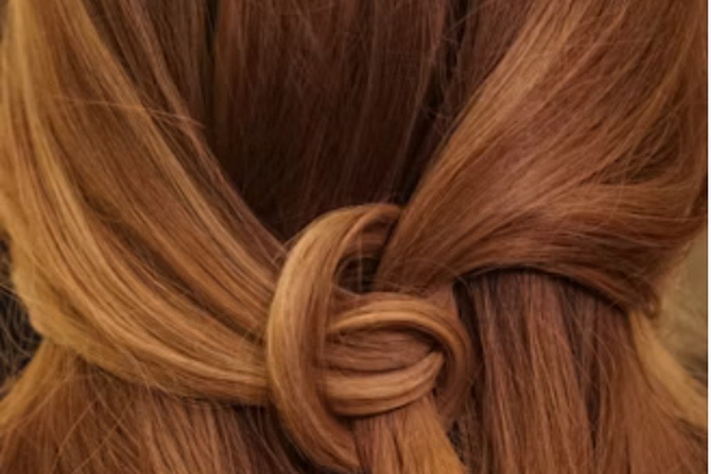 Dark auburn hair tied in a central knot showing rich red-brown dimension