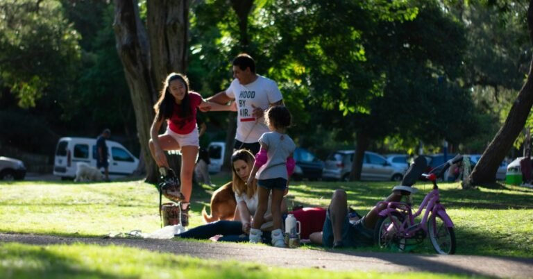 People relaxing on green grass in a public park
